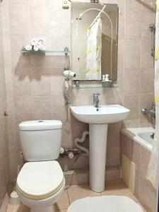 ソチにあるアパートメント ロス ストリートのバスルーム(トイレ、洗面台付)