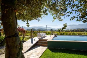 a backyard with a swimming pool and a tree at Quinta De Vila Nova - Agroturismo in Monção