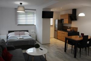 Kuchyňa alebo kuchynka v ubytovaní Apartamenty Świstak Maciej Dunajczan