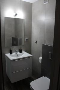 Kúpeľňa v ubytovaní Apartamenty Świstak Maciej Dunajczan