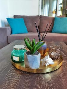 un vassoio di legno con una pianta in vaso su un tavolo di Sailor's Delight a Kavala