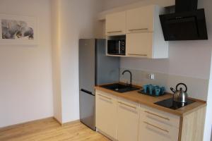 Kuchyňa alebo kuchynka v ubytovaní Apartamenty Świstak Maciej Dunajczan