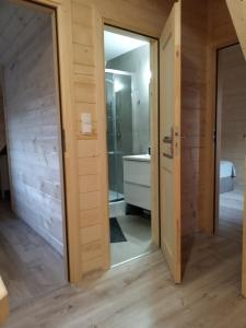 Kúpeľňa v ubytovaní Apartamenty Świstak Maciej Dunajczan + 37 fotografií