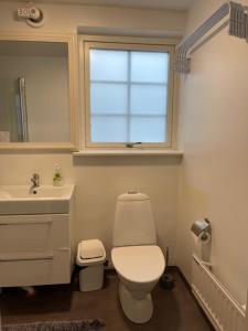 uma casa de banho com um WC, um lavatório e uma janela em Båstad em Båstad