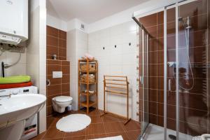 A bathroom at Apartment Amelia Tale, View of Chopok from large terrace, In the nature