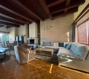 a living room with a couch and a table at Wellness Villa Totina in Liptovský Mikuláš – Demänová