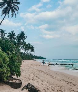 ein Strand mit Palmen und Menschen im Wasser in der Unterkunft The Wave Surf Inn Midigama in Midigama East