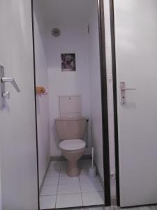 a small bathroom with a toilet in a stall at Studio 4/5 personnes 2 étoiles in Saint-Lary-Soulan