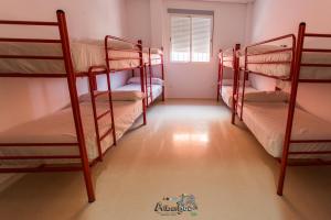Postel nebo postele na pokoji v ubytování Albergue Multiaventura Active Andalucia