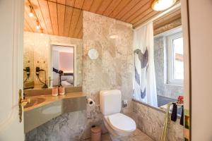 a bathroom with a toilet and a sink and a tub at Valaisia 125 in Riederalp