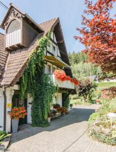 a house with ivy growing on the side of it at Landhaus Sonnenhang in Niedersalwey