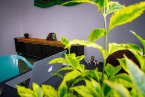 a laptop computer sitting on a desk next to a plant at Hostal Azul Puebla Barrio El Alto in Puebla