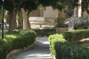 Zahrada ubytování Albir Garden Resort