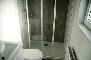 a bathroom with a shower with a toilet and a sink at Chalet Landlust in Drijber