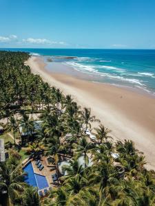 an aerial view of a beach with palm trees and the ocean at Dreamland Bungalows - Taipú de Fora - Barra Grande in Barra Grande