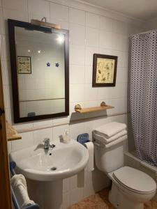 a bathroom with a sink and a toilet and a mirror at Apartamentos Valdelinares in Valdelinares