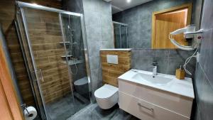 a bathroom with a shower and a toilet and a sink at Willa Kania in Szczawnica +81 photos