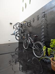 Jazda na bicykli v okolí ubytovania "unic, turisme d'interior"