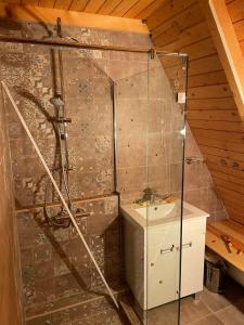 Ванная комната в Kuća na Kopaoniku - Rani mraz