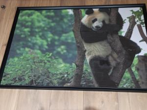 Gallery image of A 4 min du Zoo de Beauval La Maison à Partager Ch2 1er étage in Saint-Aignan