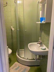 Kúpeľňa v ubytovaní Studio apartman Bel-Ben