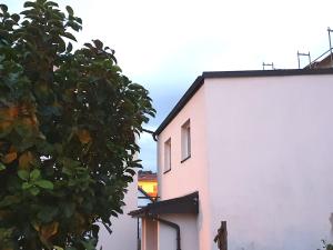 a white building with a tree next to it at Apartment in Saxony in a charming area in Freital
