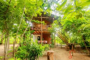 una casa in mezzo a una foresta di Sigiriya Free View Tree House & Villa a Sigiriya