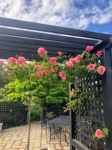 una pérgola negra con rosas colgando de ella en Barklysuites Apartments en Rutherglen