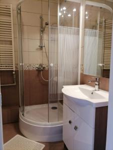 Kúpeľňa v ubytovaní Comfort apartment