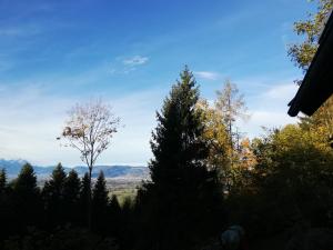 Příroda nedaleko apartmánu