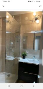 a bathroom with a shower and a sink and a mirror at Appartement Laurent Bonnevay in Villeurbanne