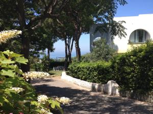 Aed väljaspool majutusasutust Paradiso Terme Resort & SPA con 5 piscine termali