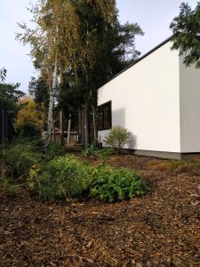 Aed väljaspool majutusasutust B&B Altijd Zomer +5 fotot