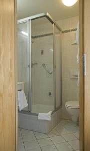 een badkamer met een douche en een toilet bij Landhotel Gasthof am Berg in Dornstadt