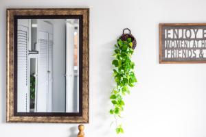 a mirror hanging on a wall with a plant at Perfect for Contractors - Canterbury - Free parking - Ultra WiFi in Canterbury +63 photos