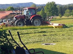 Ein Garten an der Unterkunft Ferienwohnung Rotmoosblick direkt am Rande unberührter Natur
