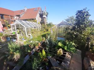 Ein Garten an der Unterkunft Ferienwohnung Rotmoosblick direkt am Rande unberührter Natur