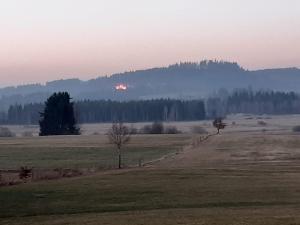 Naturlandschaft in der Nähe der Ferienwohnung
