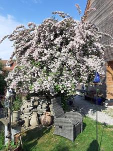 Ein Garten an der Unterkunft Ferienwohnung Rotmoosblick direkt am Rande unberührter Natur