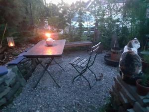 Haustiere von Gästen der Unterkunft Ferienwohnung Rotmoosblick direkt am Rande unberührter Natur
