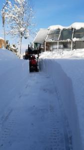 Ferienwohnung Rotmoosblick direkt am Rande unberührter Natur im Winter
