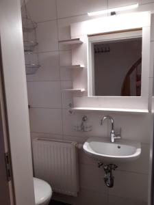 a bathroom with a sink and a mirror and a toilet at Ferienwohnung-Rotmoosblick-direkt-am-Rande-unberuehrter-Natur in Isny im Allgäu