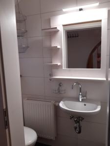 ein Badezimmer mit Waschbecken, Spiegel und Toilette in der Unterkunft Ferienwohnung Rotmoosblick direkt am Rande unberührter Natur in Isny im Allgäu + 36 Fotos