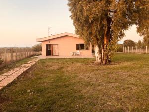 a house with a tree in the yard at La villetta senza tempo in Aprilia