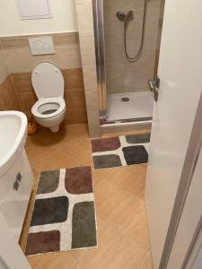 a bathroom with a toilet and a shower with rugs at apartmán ADAM Bystrá Tále in Bystrá