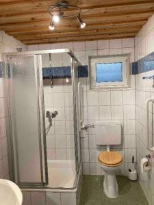 W łazience znajduje się prysznic, toaleta i umywalka. w obiekcie Ferienwohnung (idyllische Lage + 1800m² Garten) w mieście Niederstetten