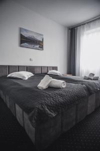 Un pat sau paturi într-o cameră la Hotel Petroshani srl