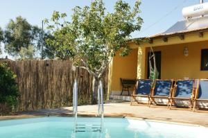 uma piscina com duas cadeiras e uma árvore num quintal em Casa Matilde - Alombada Family Lodge em Águeda