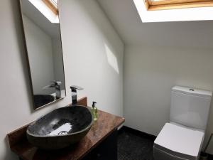 baño con lavabo negro y aseo en Fernery Garden cottage, near Skibbereen en Drishanebeg