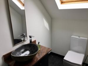 a bathroom with a black sink and a toilet at Fernery Garden cottage, near Skibbereen in Drishanebeg